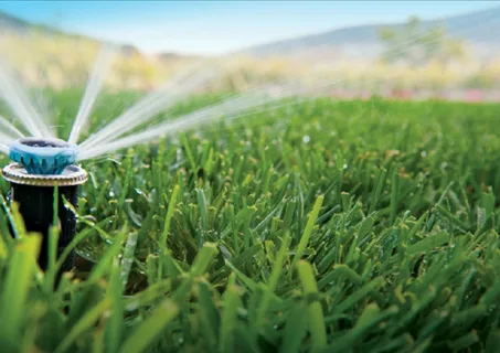 Sistemas de riego y control de agua con la Guía definitiva para la automatización del hogar; Consejos y soluciones