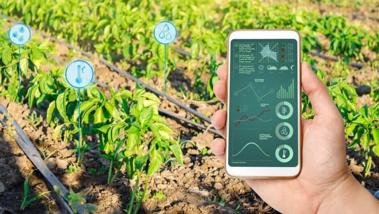 Riego inteligente: La revolución del futuro para la agricultura y la jardineria