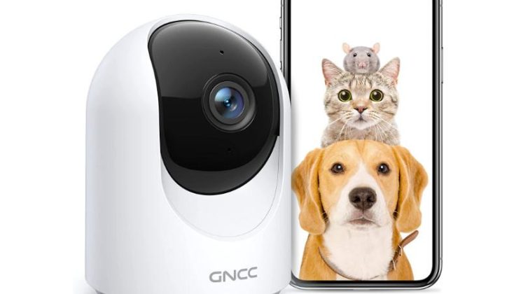 Cámaras y Dispositivos de Monitoreo para Mascotas: Vigilancia Avanzada para el Bienestar de tus Animales